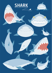 shark animal vector illustration flat design