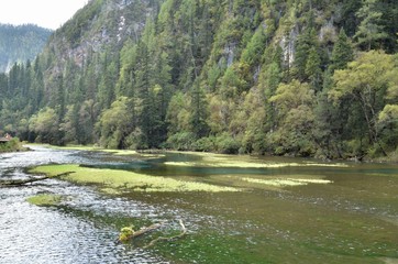 swan hai lake ,jiuzhai valley,china