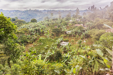 Picturesque rural landscape in the highlands of Guatemala.