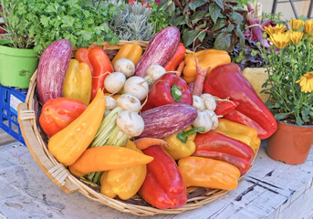 Vegetables in basket on wooden table