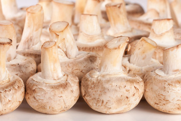 Fresh raw mushrooms champignon closeup as background