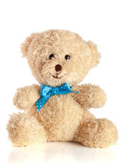 Toy teddy bear with blue bow isolated on white background
