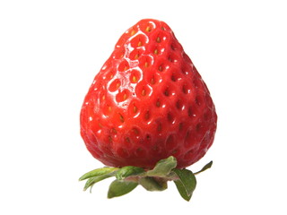 Fresa
