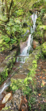 25 fountains levada tracking path with waterfall. Madeira island, Portugal