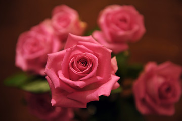 Pink roses. Romance. Flowers.