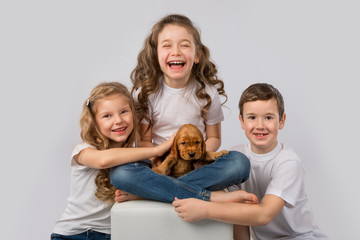 Kids pet friendship concept - children holding red puppy isolated on white background