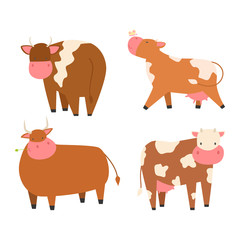 Bulls cows farm animal character vector illustration cattle mammal nature wild beef agriculture.