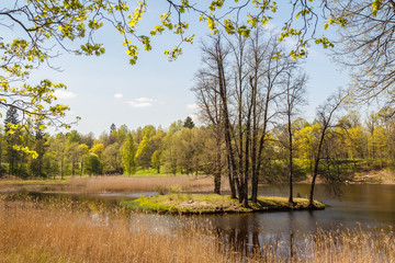 Natural park in Lomonosov, Russia