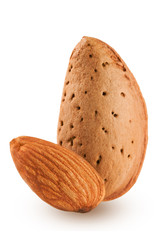 two almond nut isolated on white background close-up macro