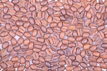 background of grains coffee arabica