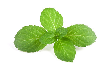 Fresh mint leaves closeup isolated on white background