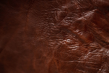 Surface of leather.