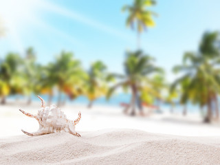 Summer concept, summer accessories on summer beach