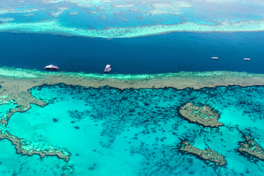 Fototapeta Aerial view of the Great Barrier Reef