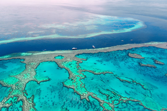 Fototapeta Aerial view of the Great Barrier Reef