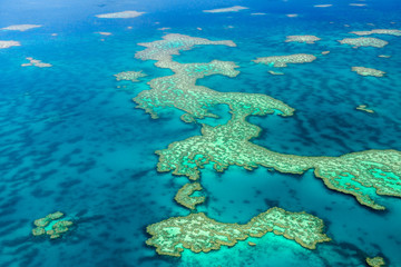 Naklejka premium Aerial view of the Great Barrier Reef