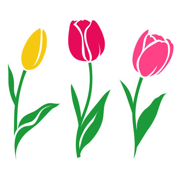 Set of colorful tulip silhouette. Vector illustration. Collection of decorative flowers