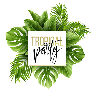Summer tropical leaf background with exotic palm leaves. Party flyer template. Handwriting lettering. Vector illustration
