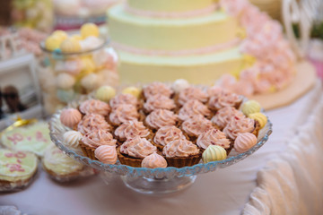 Wedding cake. Candy bar marshmallow on the table in a vase, macaroon, and cupcake, decor vanilla, handmade sweets