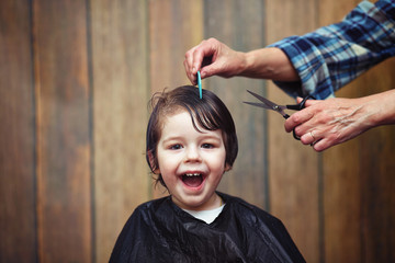 A little boy is trimmed in the hairdresser's