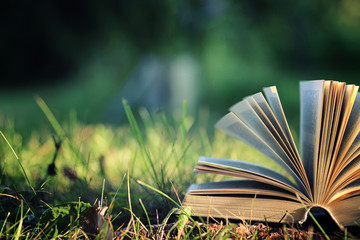 open book with flower on grass