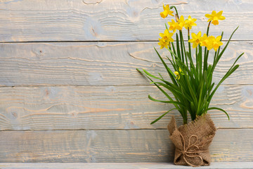 yellow narcissus, spring flower bouquet in burlap for holiday greeting