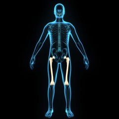 3d illustration human body femur