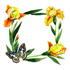 Wildflower iris flower frame in a watercolor style isolated.