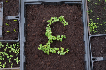 Pound sterling strong growth