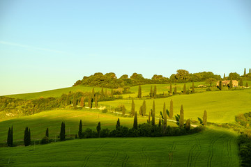 Fototapeta premium Landscape around Montalcino Tuscany