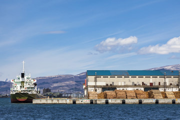 函館港の貨物船と埠頭の丸太材