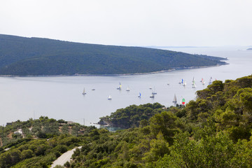 Fototapeta premium Alonissos, Sporades islands, Greece