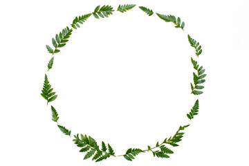 Wreath frame of green leaves on white background. Flat lay, top view. Copy space. Concept of summer