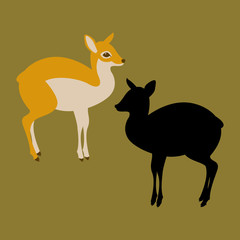 Obraz premium mouse deer vector illustration style Flat silhouette