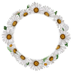 Wildflower chamomile flower wreath in a watercolor style isolated.