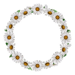 Wildflower chamomile flower wreath in a watercolor style isolated.