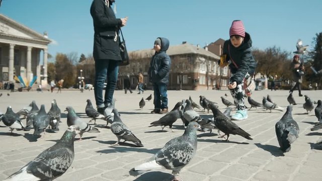 Day suny shot of city doves seeding by family on the town square, 100FPS slowmotion