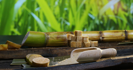 A macro shot of a composition of sugar cane, sugar cubes and sugar in the raw granules. Concept: a sweetener, nature, energy, juices and drinks.	