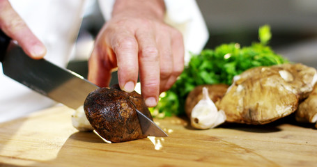 A chef chooses freshly picked Italian mushroom of excellent quality to be able to cook. concept of Italian diet. health and healthy eating.