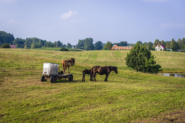 Countryside near Koscierzyna town in Cassubia region of Poland