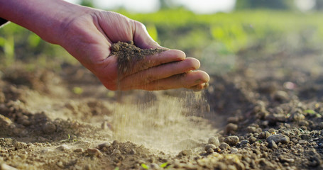 A young beautiful hand watering a plant in a romantic natural and magical atmosphere and extreme slow motion