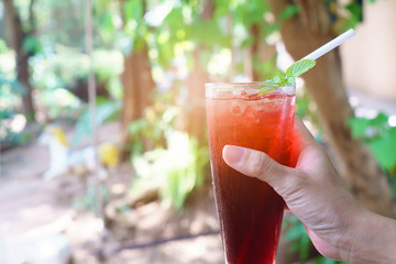 Hand of woman holding red roselle juice with green peppermint in nature.