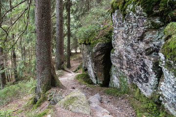 Rundwanderweg um den "kleinen Abersee" - Naturschutzgebiet im Bayerischen Wald 
