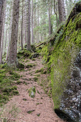 Obraz premium Rundwanderweg um den 