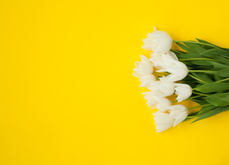 Bouquet of white tulips on yellow