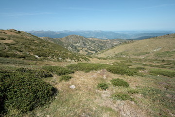 Fototapeta na wymiar Prairie dans les Pyrénées audoises, Occitanie dans le sud de la France. 