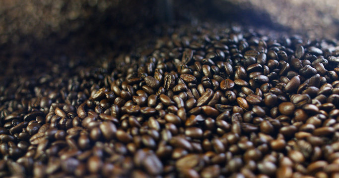 the raw coffee beans in the professional roasting, grilling at the right temperature in slow motion. concept of perfect coffee, Italian and Ethiopian roasting, nature and food.	