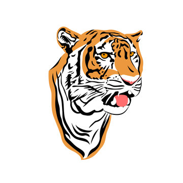 Tiger head in side view. Vector illustration isolated on white background.
