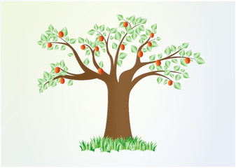 Fototapeta premium single summer tree with green leaves and red fruit, vector, horizontal