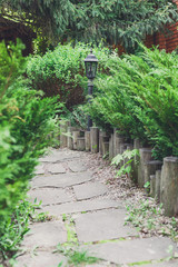 Landscape design, evergreen bushes and path